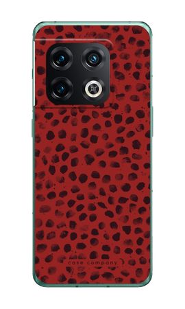 Ladybird Paint