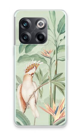 Tropical Parrot