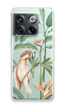 Tropical Parrot