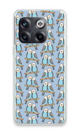 Parrots