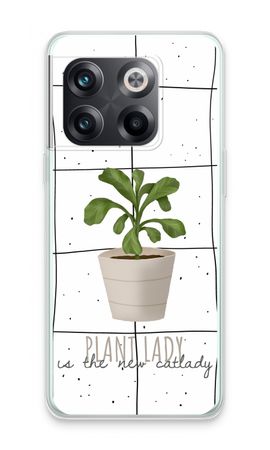 Houseplant on windowpane