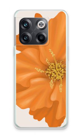 Orange Ellila flower