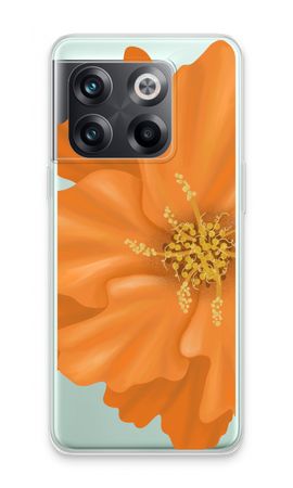 Orange Ellila flower