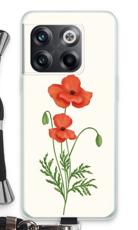 Red poppy