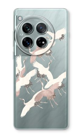 Japanese Crane Birds