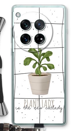 Houseplant on windowpane