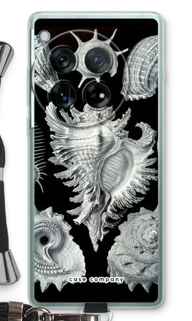 Haeckel Prosobranchia