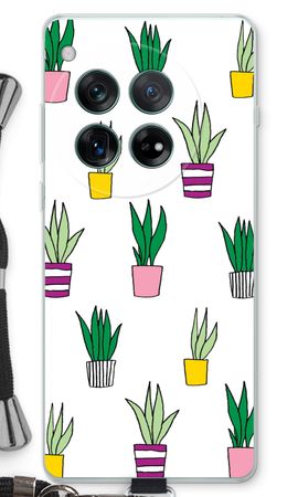 Sanseveria