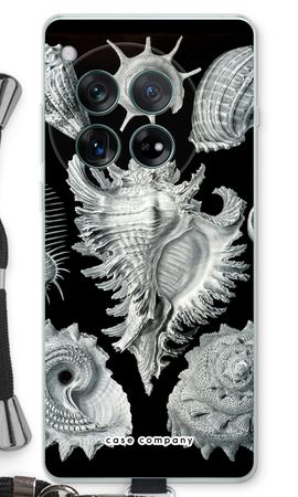 Haeckel Prosobranchia