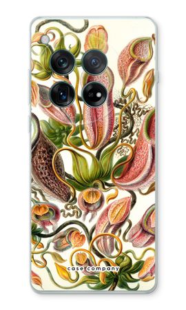 Haeckel Nepenthaceae