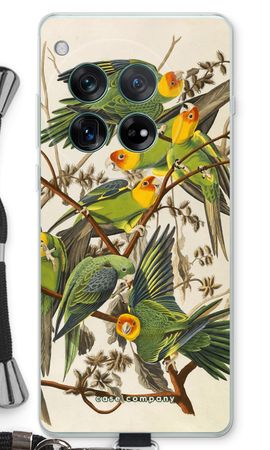 Carolina Parrot