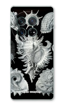 Haeckel Prosobranchia