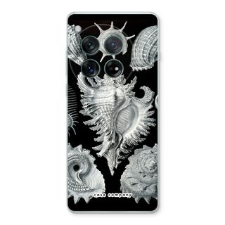 Haeckel Prosobranchia