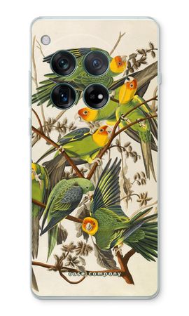 Carolina Parrot