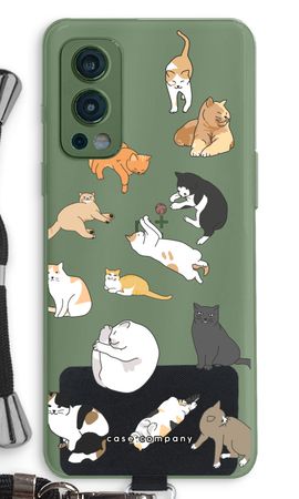 Cats