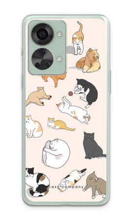 Cats