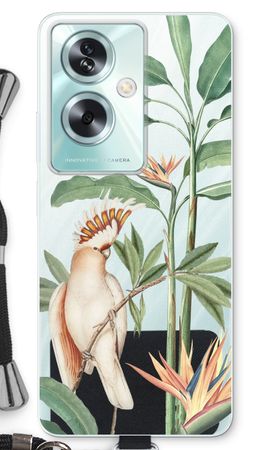 Tropical Parrot