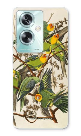 Carolina Parrot
