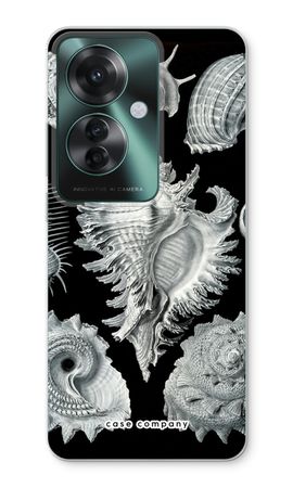 Haeckel Prosobranchia