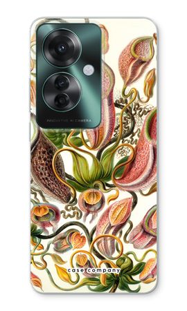 Haeckel Nepenthaceae