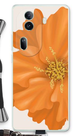 Orange Ellila flower