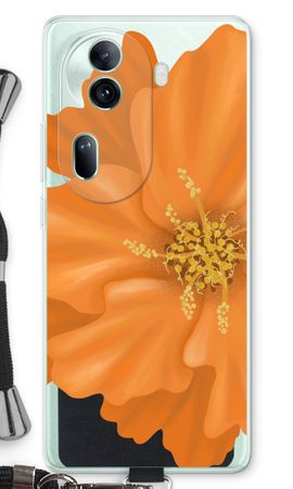 Orange Ellila flower