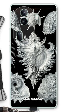 Haeckel Prosobranchia