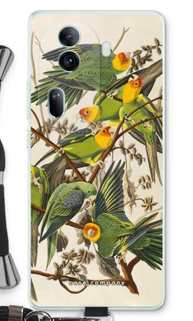 Carolina Parrot
