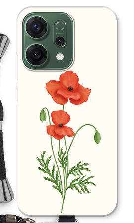 Red poppy