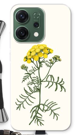 Tansy