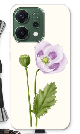 Purple poppy