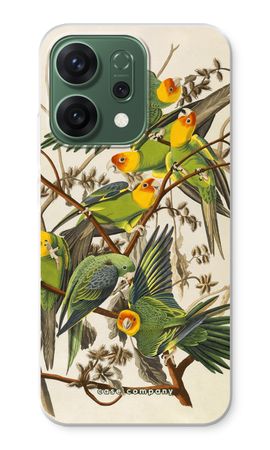 Carolina Parrot