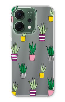 Sanseveria