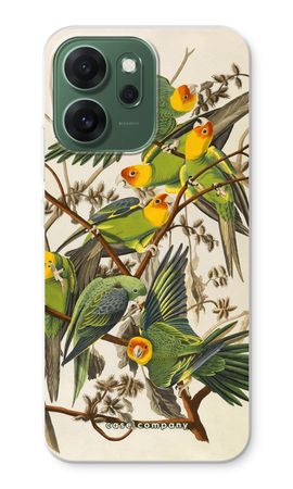 Carolina Parrot