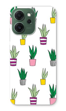 Sanseveria