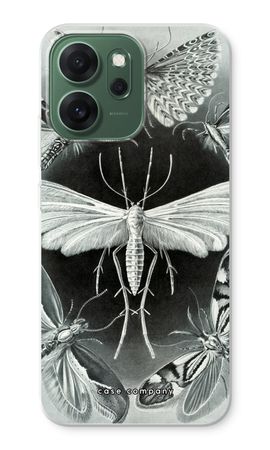 Haeckel Tineida