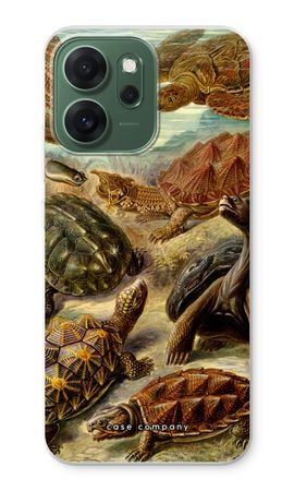 Haeckel Chelonia
