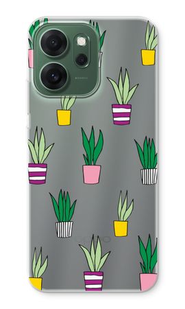 Sanseveria