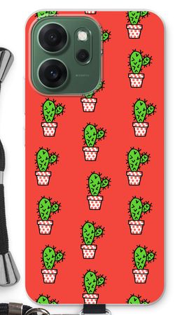 Mini cactus