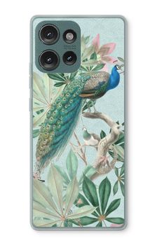 Paradise Garden Peacock