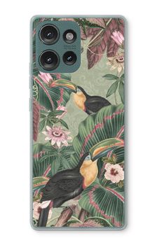 Tropical jungle toucan