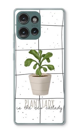 Houseplant on windowpane