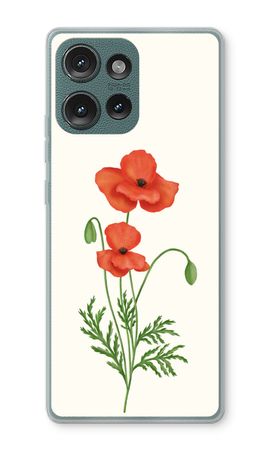 Red poppy