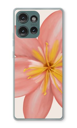 Pink Ellila Flower