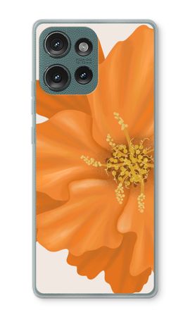 Orange Ellila flower