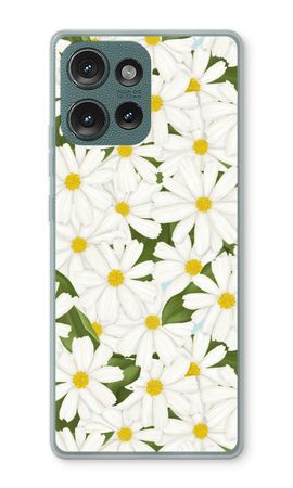 Summer Daisies
