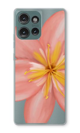 Pink Ellila Flower