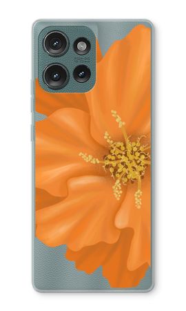 Orange Ellila flower