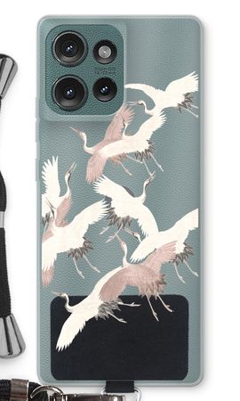 Japanese Crane Birds