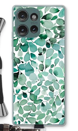 Eucalyptus à feuilles